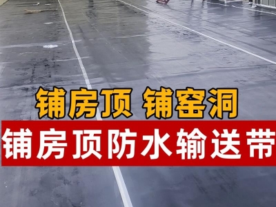 輸送帶膠板橡膠墊鋪房頂?shù)孛娓G洞車間屋頂防水抗老化鋪露臺(tái)